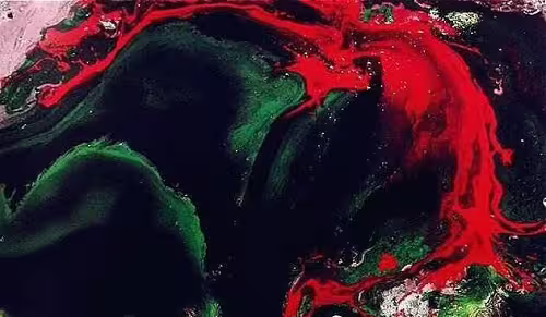 第三世多杰羌佛油画《圣昙花》把震撼之美定格在瞬间