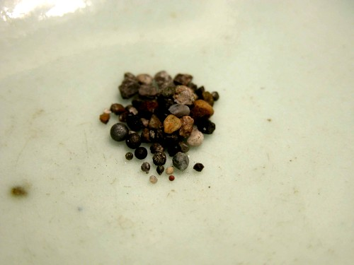 卢全芳居士证道 阿弥陀佛接走 舍利坚固子49粒-图片3