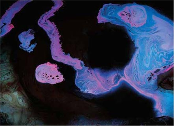 南无羌佛工巧明展显之 西画-图片10