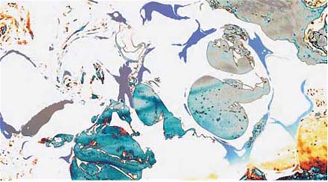 南无羌佛工巧明展显之 西画-图片9