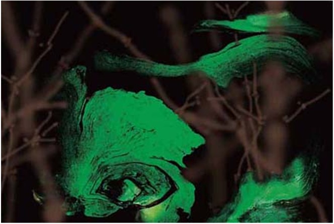 南无羌佛工巧明展显之 西画-图片8