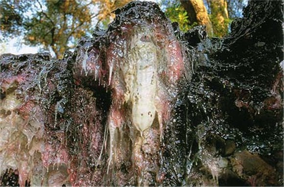 南无羌佛工巧明展显之玄妙彩宝雕-图片5