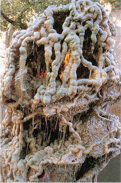 南无羌佛工巧明展显之玄妙彩宝雕-图片6