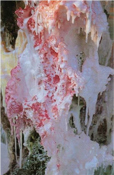 南无羌佛工巧明展显之玄妙彩宝雕-图片7