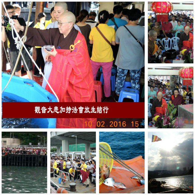 隆慧法师圆满结束2016香港弘法行-图片2
