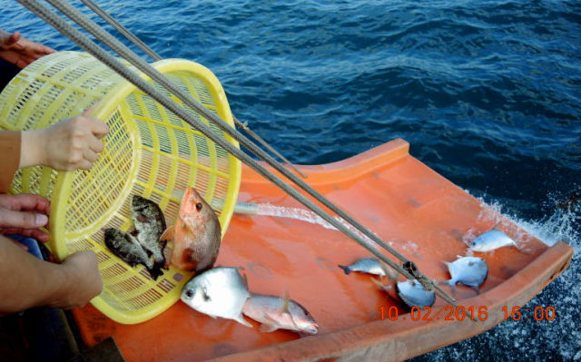 隆慧法师圆满结束2016香港弘法行-图片6