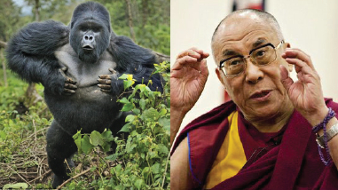 十四世达赖谤佛毁经 坑害众生-图片4