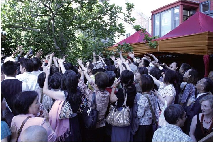 《揭开真相》 (二十) 一书入寺木棉惊 神奇难测功绝顶-图片3