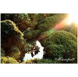 義恒公（摩訶法王）作品集“恒公六部曲”出版 少年之表率-图片11