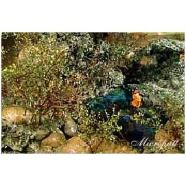 義恒公（摩訶法王）作品集“恒公六部曲”出版 少年之表率-图片14