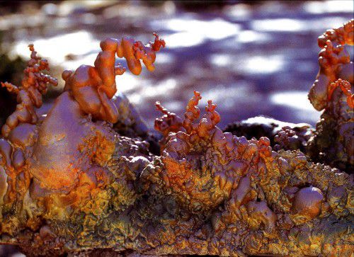 義恒公（摩訶法王）作品集“恒公六部曲”出版 少年之表率-图片5