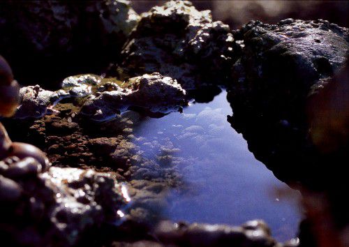 義恒公（摩訶法王）作品集“恒公六部曲”出版 少年之表率-图片4