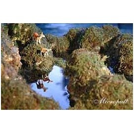 義恒公（摩訶法王）作品集“恒公六部曲”出版 少年之表率-图片9