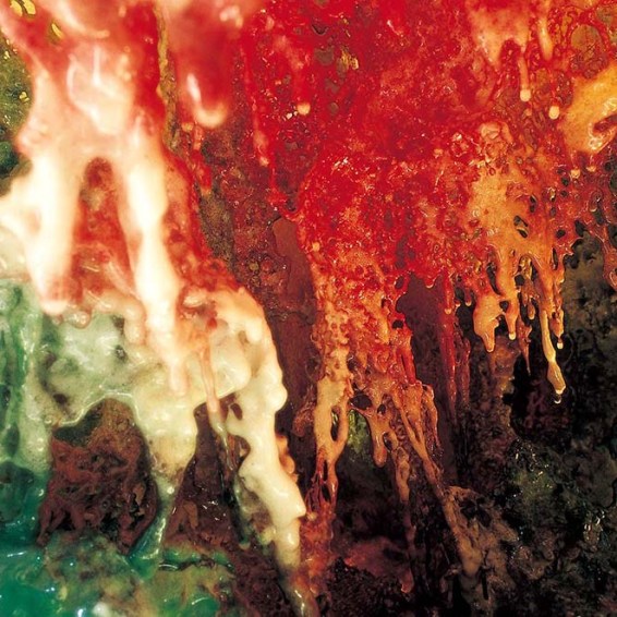 义云高大师(南无羌佛 )韵雕画册-图片4