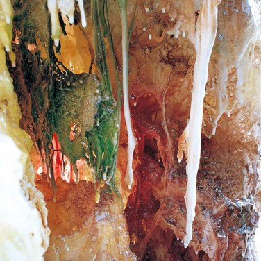 义云高大师(南无羌佛 )韵雕画册-图片5