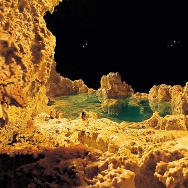 义云高大师(南无羌佛 )韵雕画册-图片6