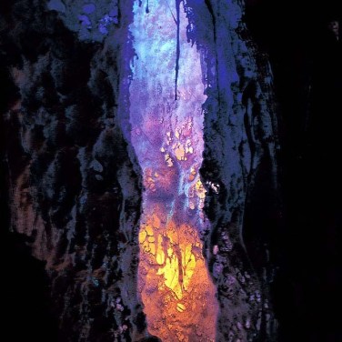 义云高大师(南无羌佛 )韵雕画册-图片9