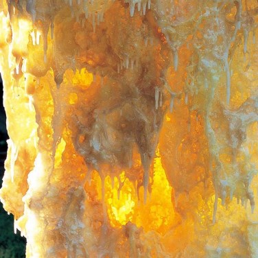 义云高大师(南无羌佛 )韵雕画册-图片10