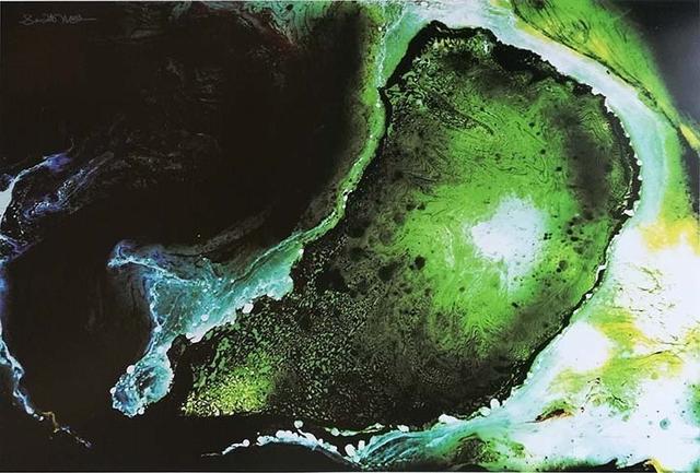 国际级第一级艺术家玉花寿之王教授艺术作品欣赏-图片41